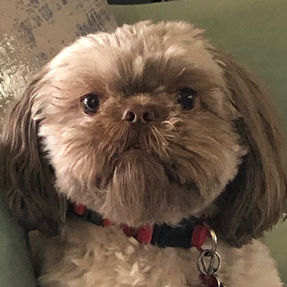 Meet your Posher, Jorge